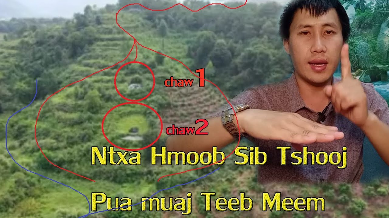 Tham Kev Daws Ua Plaub  Ua Ntug Txog Looj mem (Tham Kev HLoov Pauv Loojmem Txiav Roob) 01-11-2021