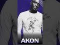 Sorry, Blame It On Me-Akon