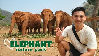 Elephant Nature Park Experience | CHIANG MAI, Thailand