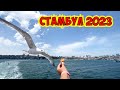 🇹🇷 СТАМБУЛ 2023. ИДЕМ НА ПАРОМЕ В АЗИЮ