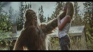 SÉRIE LÉGENDE  le bigfoot