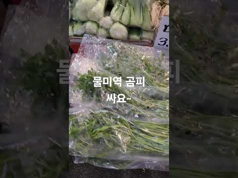 피가 맑아지는 곰피#물미역#돌미나리 #청경채#은성야채#계양산 전통시장
