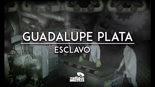Guadalupe Plata - Esclavo (Video Oficial)