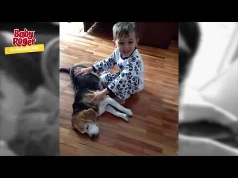 Baby Roger - Ep. 01 Season 2 - My baby and my pets