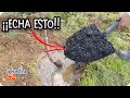 Seguro Que NO CONOCES este Truco Para Abonar Tus Frutales || La Huertina De Toni