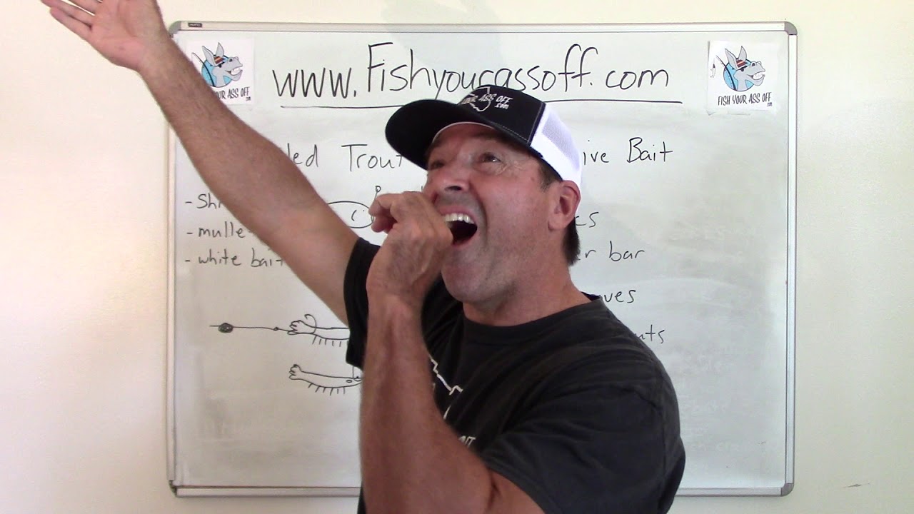 Speckled Trout Fishing with Live Bait YouTube