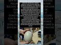 🥚✨ La gallina Bisquick y el misterioso huevo verde perdido en el tiempo