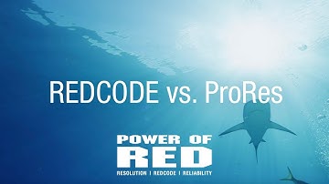 Power of RED | REDCODE Matters | REDCODE vs ProRes