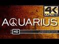 Aquarius Season 2 Episode 2 FULL EPISODE