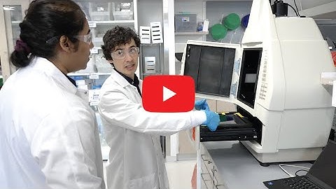 Miguel Jimenez PhD,  Boston University Biomedical Engineering