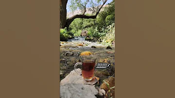 آواز در گلستان ارم دوش چو از لطف هوا استاد ایرج خواجه امیری منطقه پشتکوه Nature 