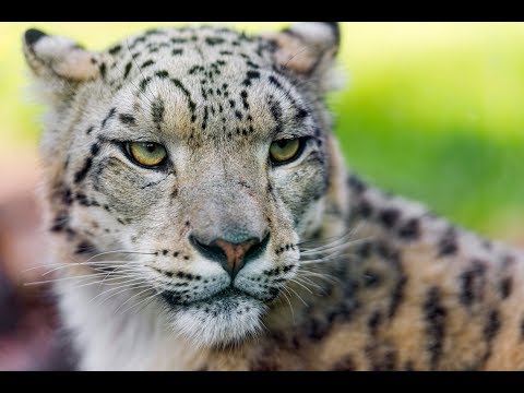 Bradio La Pa Paradise Official Video Youtube youtube