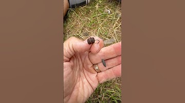 SIMPLE RIVER RIG fishing for barbel and chub #riverfishing #fishingtips #fishingtechniques