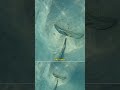 Reading the Seabed