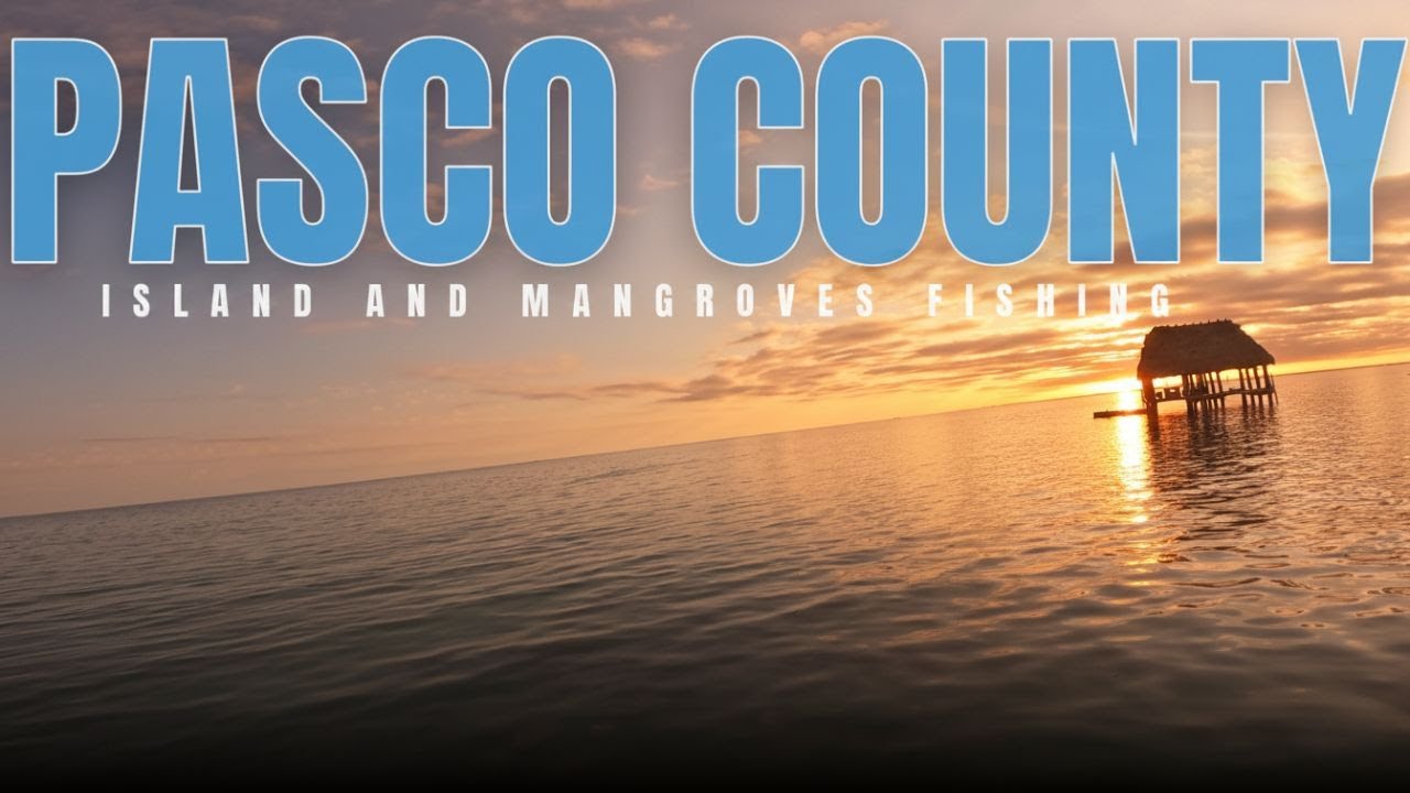 Круиз по округу Паско: осмотр достопримечательностей, ловля рыбы на снука и морского окуня в идеа...