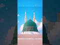 subhan Allah subhan Allah #shorts #youtubeshorts