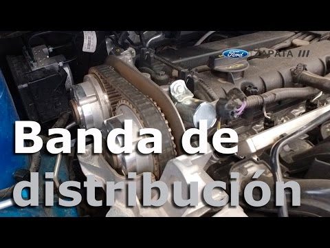 ¿Cuándo cambiar la banda de distribución? - | Autocosmos