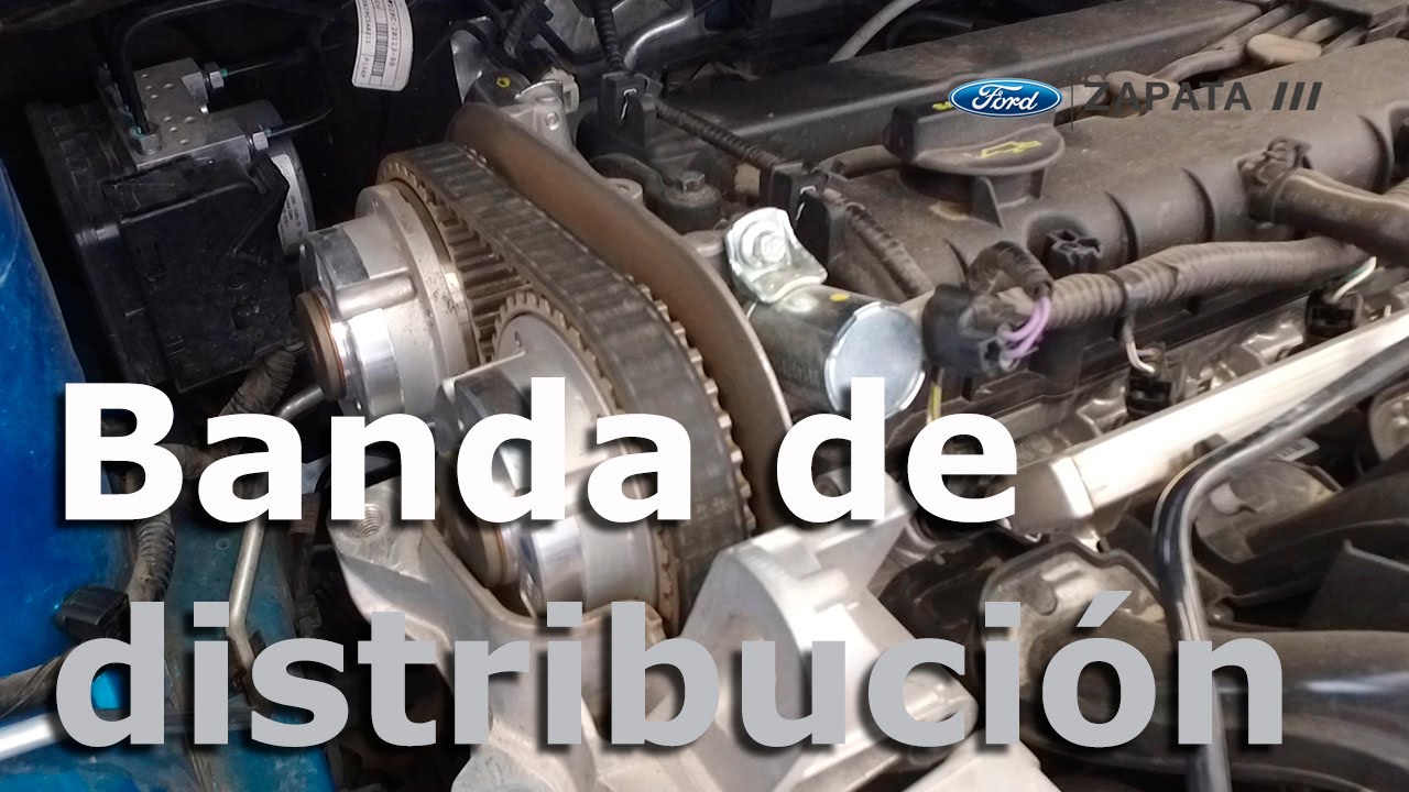 El ford focus 2014 tiene correa o cadena de distribucion Cuando Cambiar La Banda De Distribucion Autocosmos Youtube