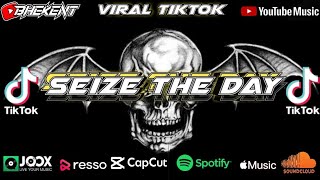 Download Lagu Dj Seize The Day MP3