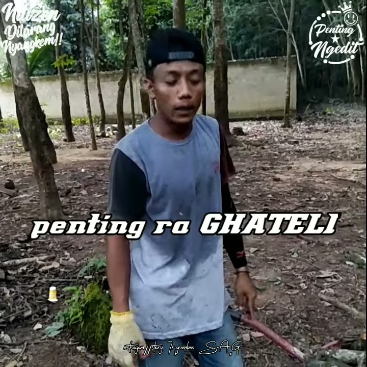 story wa rapopo elek