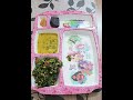 Haa hu mai bohot खूश Nasib 😂 | What's in my lunch today?