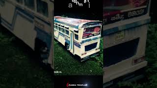 එයාගේ හැඩ 🤗🌹💐/#mistercardboard #automobile #lifeisbutadream #driver #bussid #onthisday #ihavethisthi