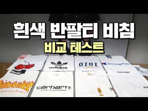 브랜드별 흰색 반팔티 비침 비교! (칼하트/오베이/트레셔/챔피온/키르시/오아이오아이/아디다스/칼하트WIP)