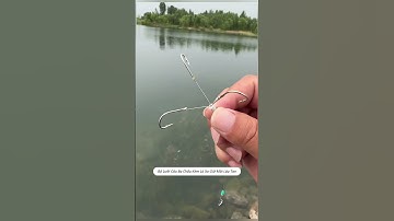 Lưỡi câu cá 3 chấu kèm lò xo giữ mồi lâu tan #cauca #fishing #shorts