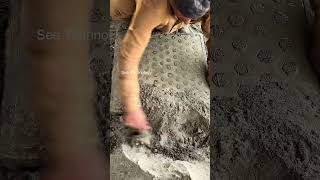 How Stylish Cement Crafting Process Are Made ? #Seetechnology #Shorts