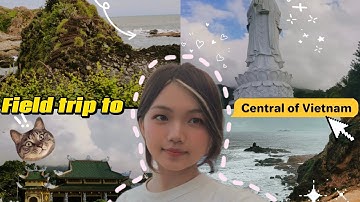 Nguyễn Ái Vi - 3123380347 - Thực tế Chuyên môn