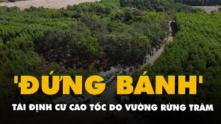 Tái định cư cho cao tốc Biên Hòa - Vũng Tàu vẫn 'đứng bánh' do vướng rừng tràm