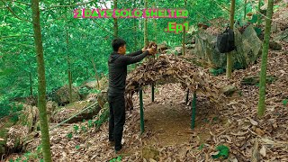 2 Days Solo Shelter - Shelter Made From Bamboo and Dry Leaves - Overnight in the Forest. Ep1