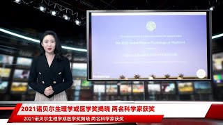 2021诺贝尔生理学或医学奖揭晓 两名科学家获奖