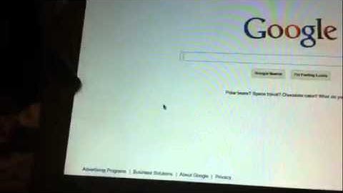 My Dog Thinks The Cursor Is A Bug Or Something