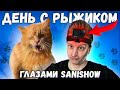 Один день с рыжим котом моими глазами / SANI vlog