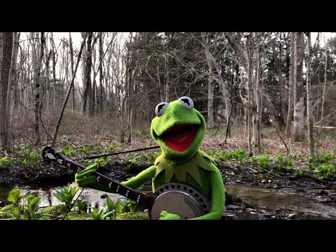 A Special Performance of &quot;Rainbow Connection&quot; from Kermit the Frog | The Muppets