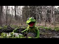 A special performance of rainbow connection from kermit the frog  the muppets