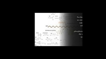 Nanofibrillated Cellulose Surface Modification: A Review | RTCL.TV