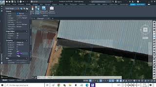 113 Raster scale handling gif image