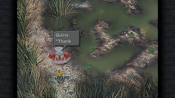 How to catch more than 8 Frogs - Final Fantasy 9