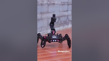 Deze hexapodrobot kan uw laboratoriumassistent vervangen! 🧪🤖