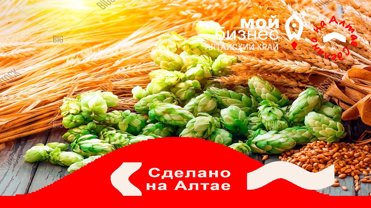 Купить Бизнес В Алтайском Крае