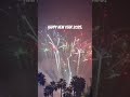 Happy New Year 2025 #happynewyear #2025 #fireworks #celebration #shorts