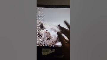 How to Create a Stripe Account in Equatorial Guinea 2025 | (PART 1 OF 4)