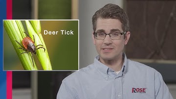 Can You Get Lyme Disease From Ticks?