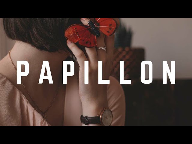 Papillon - Zouk Instrumental (Kizomba Love Type Beat) class=