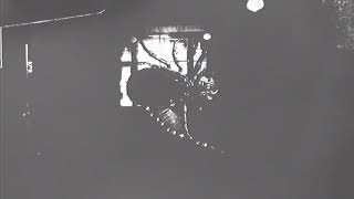 Skinny Puppy Type Beat | Just The Same | Industrial + Alternative + Electronic [2026]