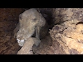 TDW 1722 - Stuckie The Mummified Dog !