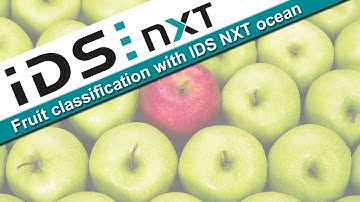 Fruit classification with IDS NXT