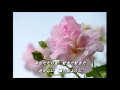 花恋文 水森かおり【cover】